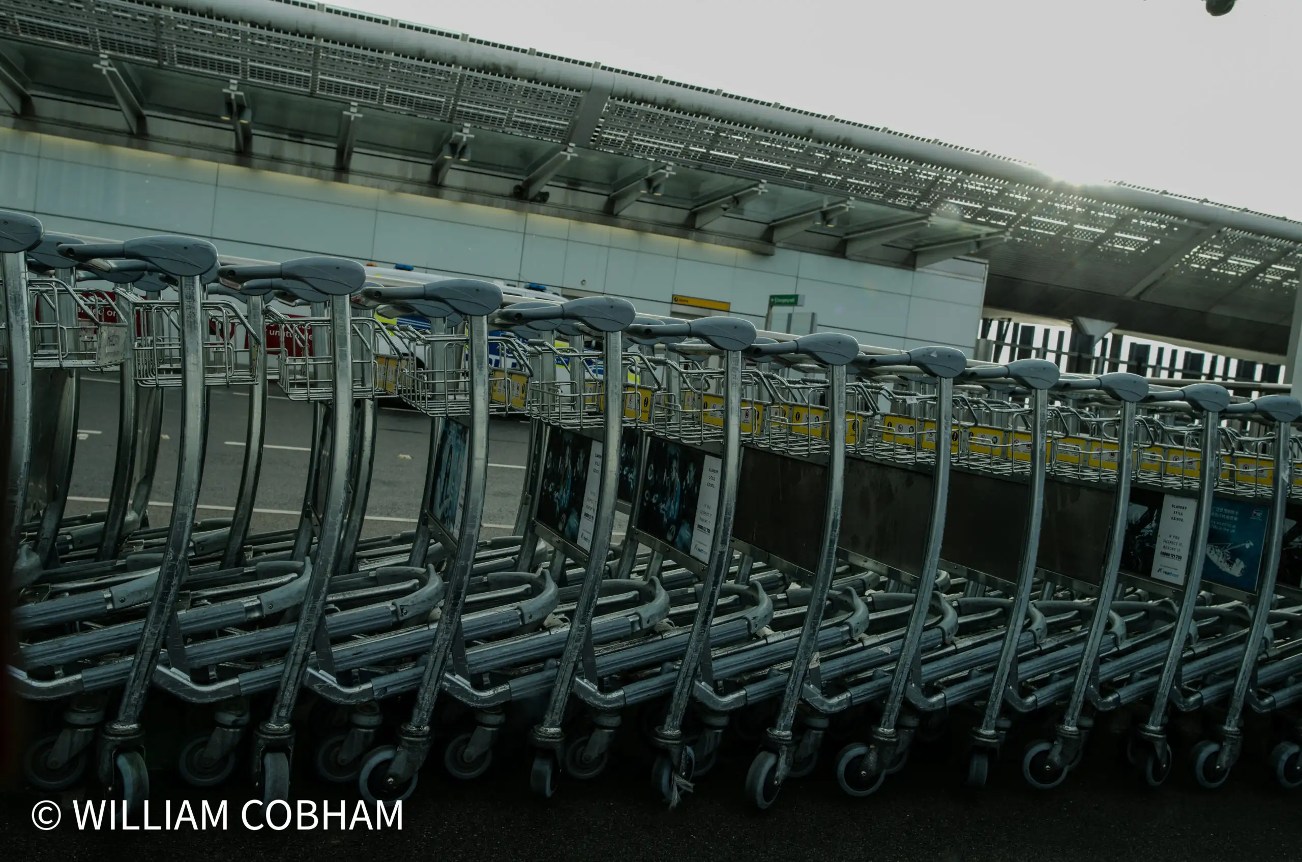 Terminal 5