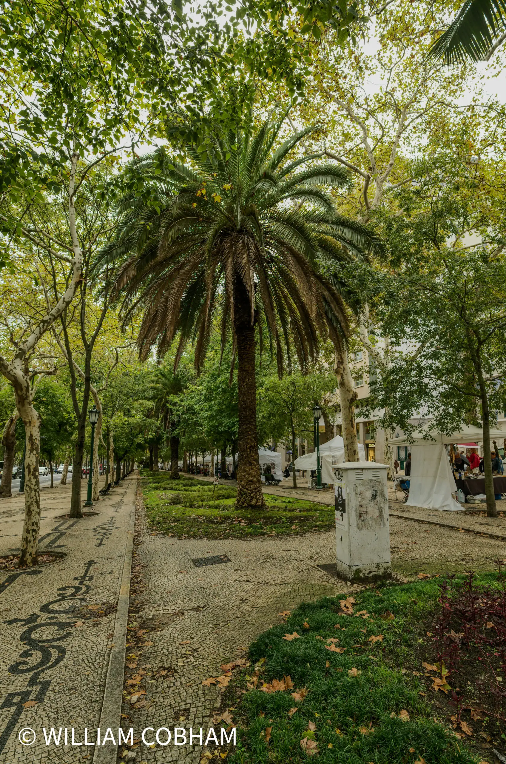 Lisbon